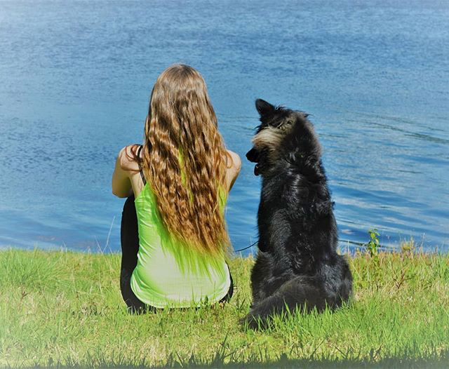 Dog Care 101: How to Calm a Dog in a Thunderstorm