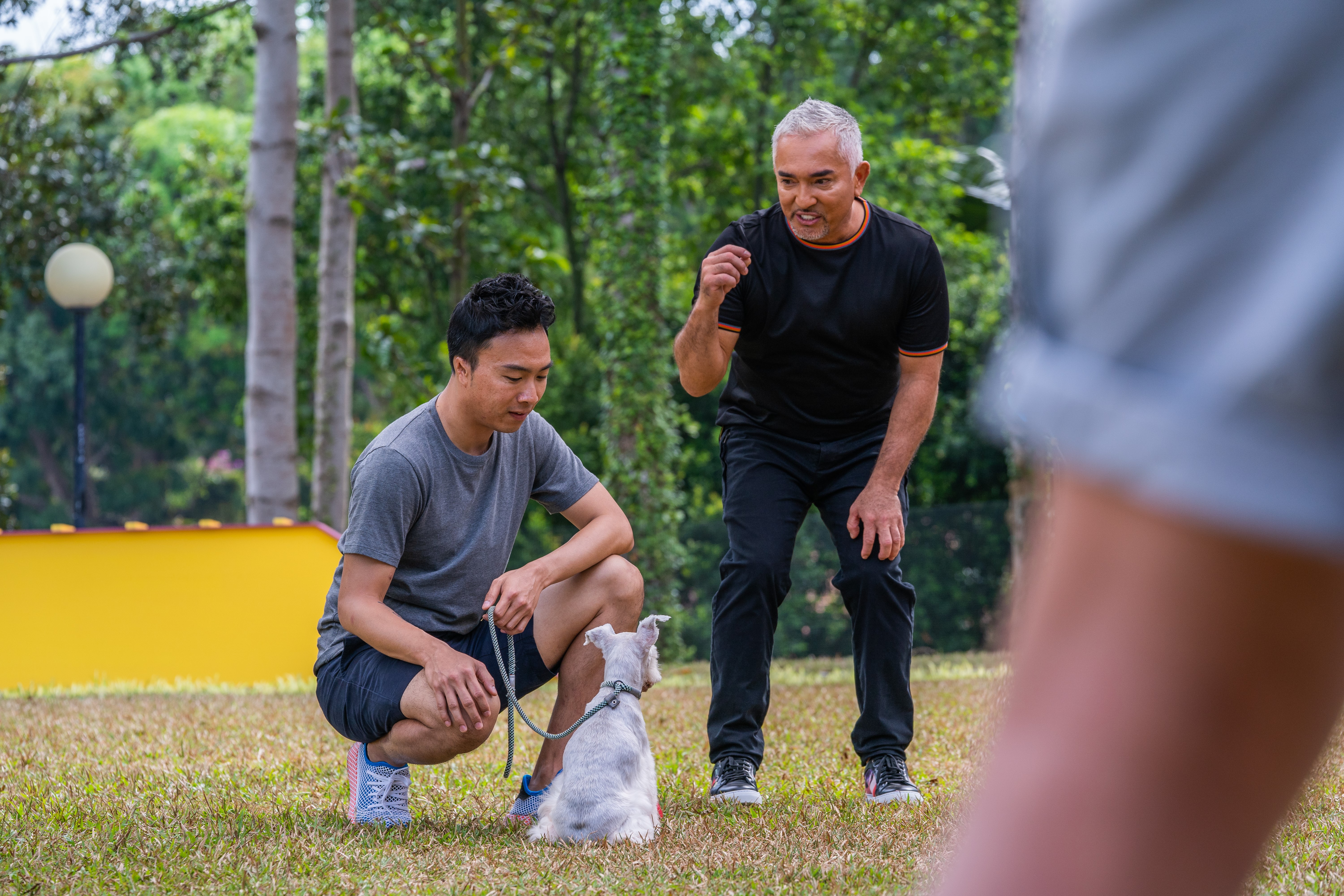 Dog Whisperer Cesar Millan Is on the Hunt for His Latest Recruit in Singapore