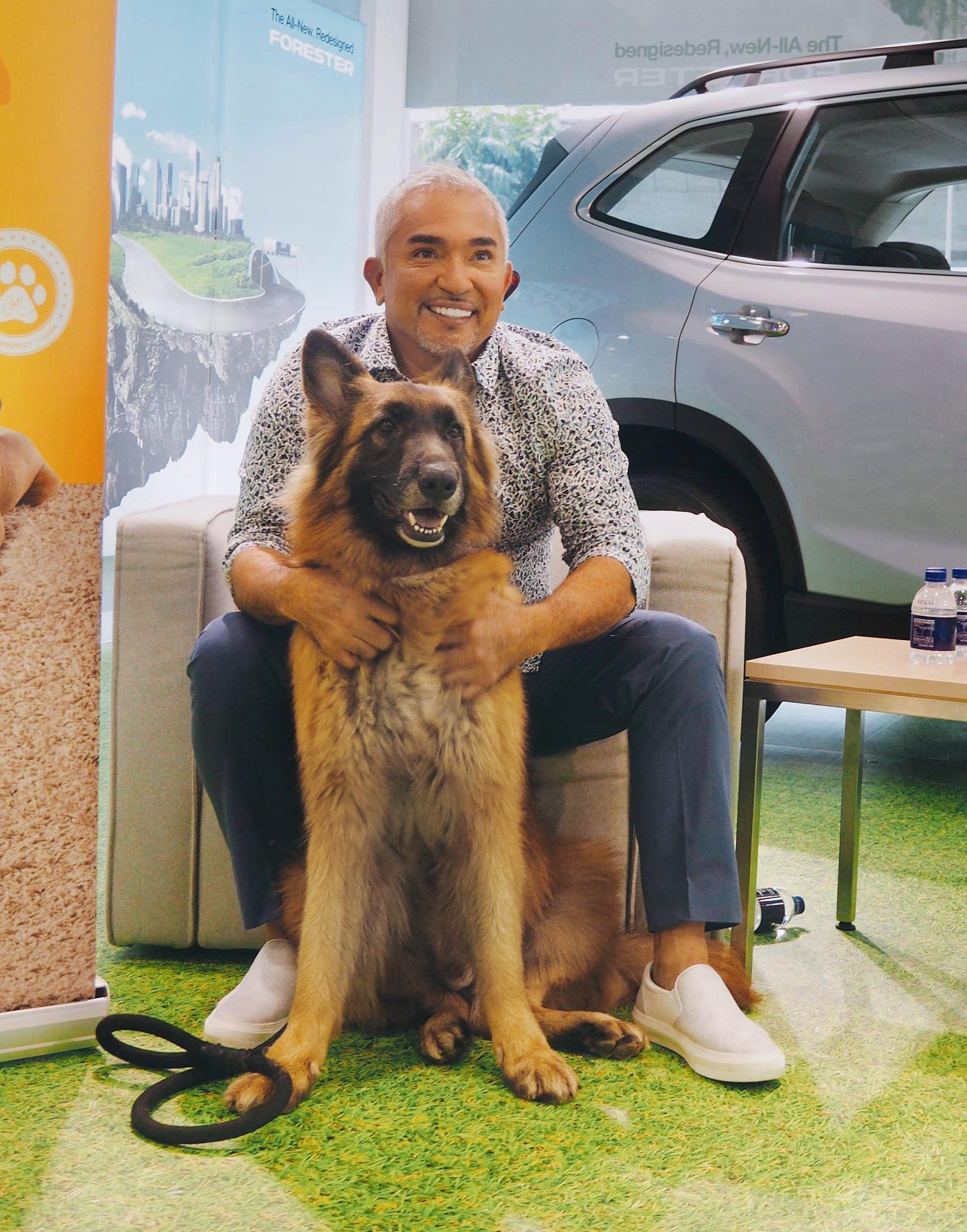 Dog Whisperer Cesar Millan Is on the Hunt for His Latest Recruit in Singapore