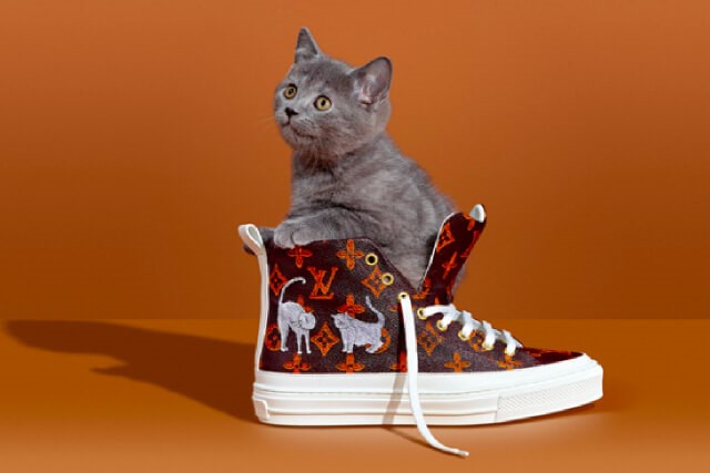 Grace Coddington and Louis Vuitton Designed Cat's Pajamas