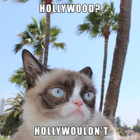 Goodbye Grumpy Cat: The Internet’s Most Beloved Feline Has Passed On