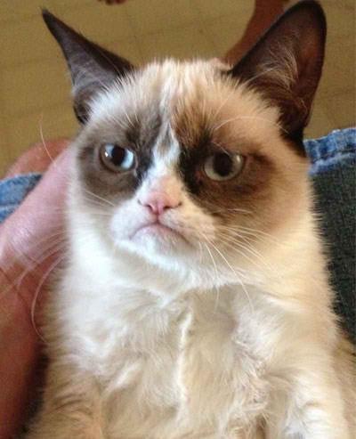 Goodbye Grumpy Cat: The Internet’s Most Beloved Feline Has Passed On