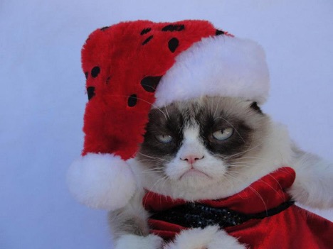 Goodbye Grumpy Cat: The Internet’s Most Beloved Feline Has Passed On