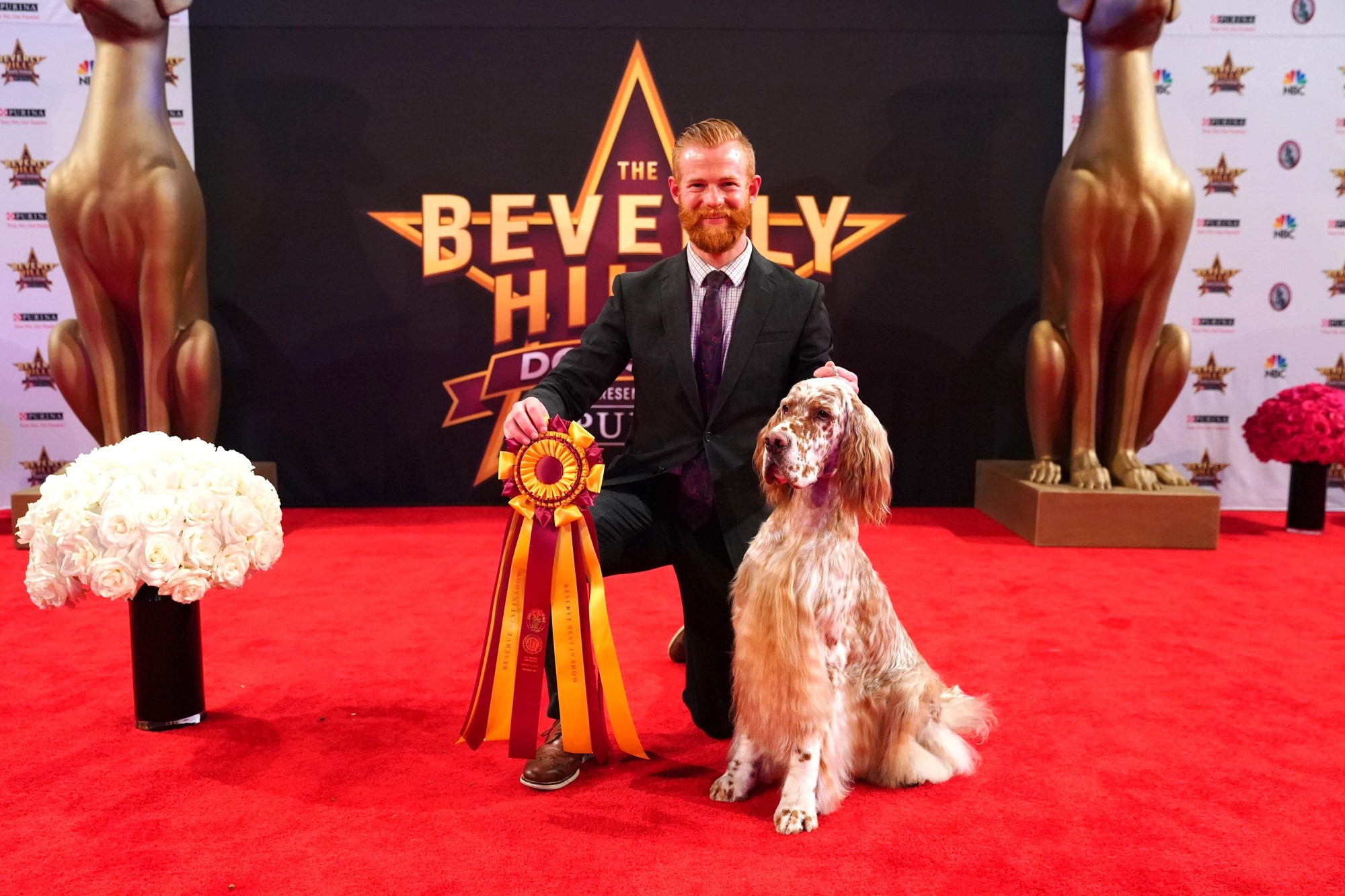 Haute Hounds: The Top Dog(s) of Beverly Hills 2019