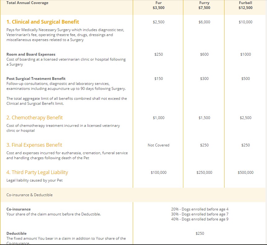 My Paw Pal, PetCare & More: A Guide to Purchasing Pet Insurance in Singapore