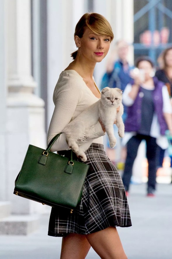  Pampered Paws: 5 of the World's Richest Pets Pampered Paws: 5 of the World's Richest Pets 