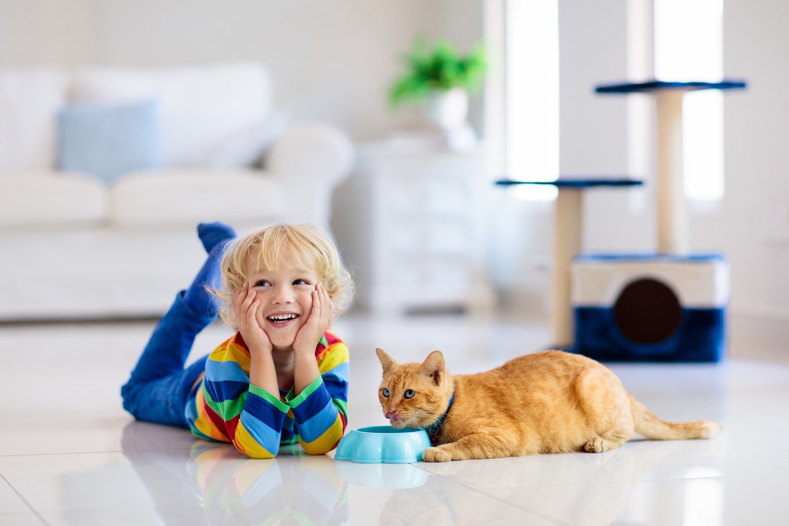 Pre-Pawrenting Guide: What to Consider Before Welcoming a Pet Into the Family 