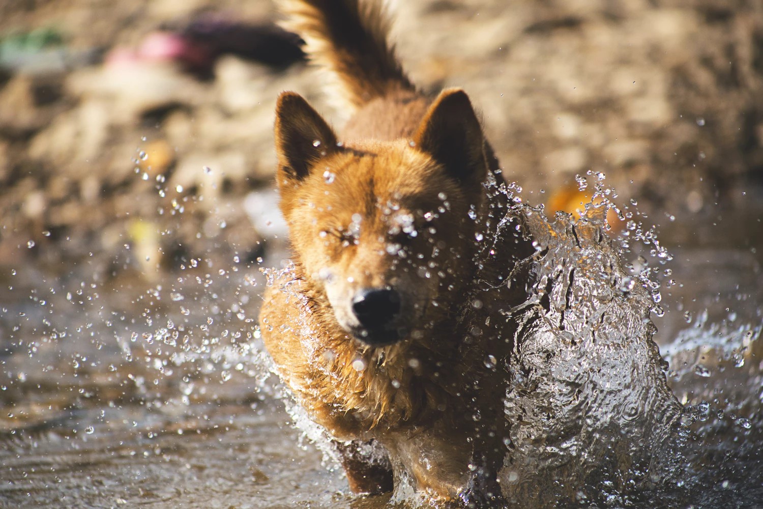  Saying Yes to Hydrotherapy: Exploring the Treatment and Its Benefits