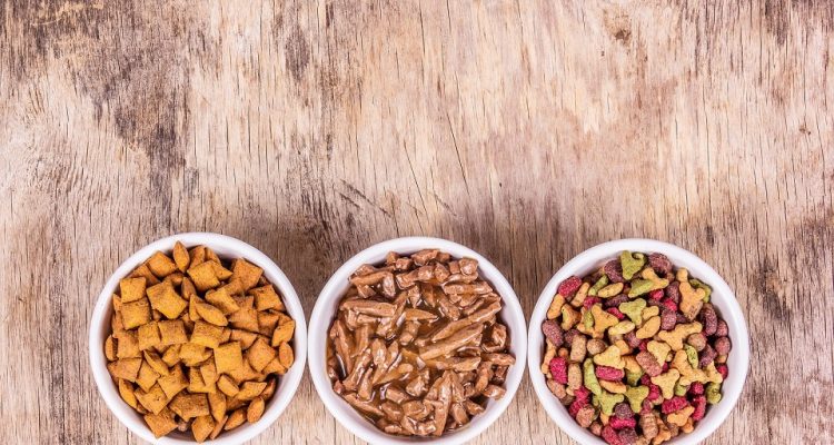 Storage Tips: A Guide to Increasing the Shelf-Life of Pet Food