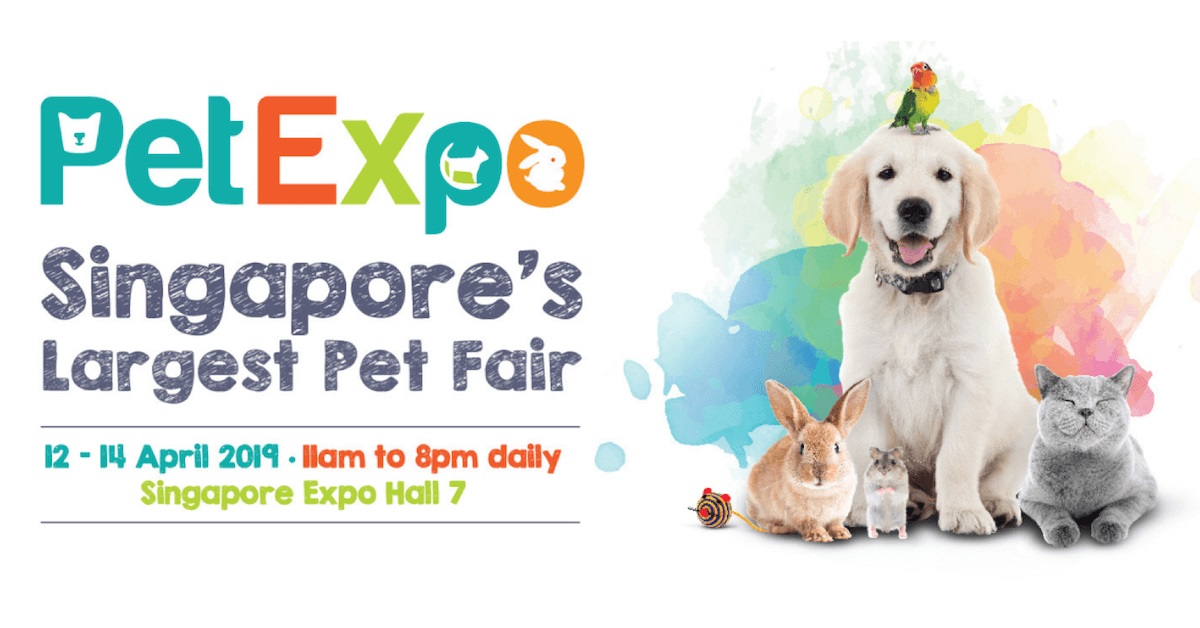 Toys, Treats & Tricks: Pet Expo 2019 Is Back Bigger & Better