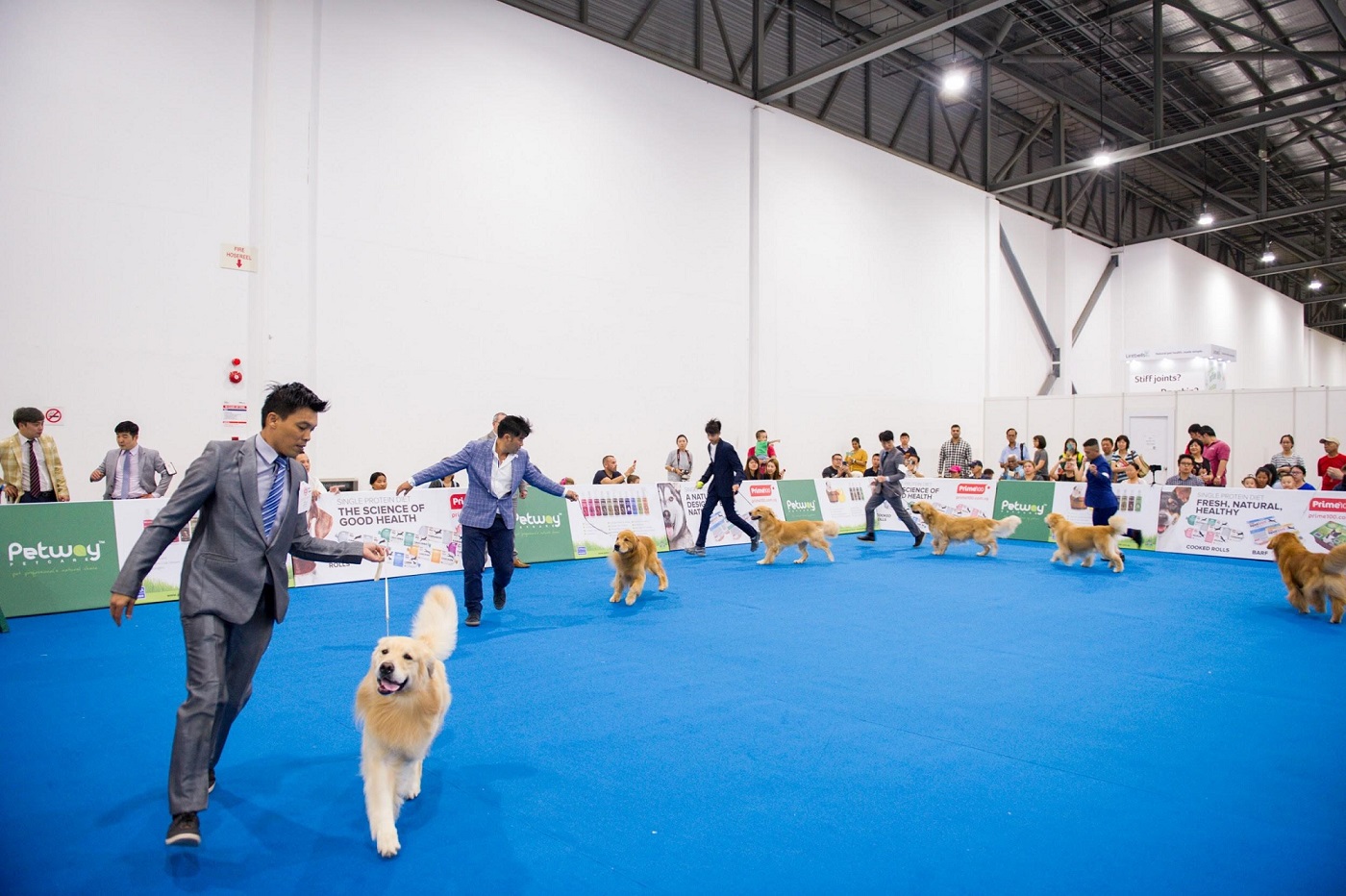 Toys, Treats & Tricks: Pet Expo 2019 Is Back Bigger & Better