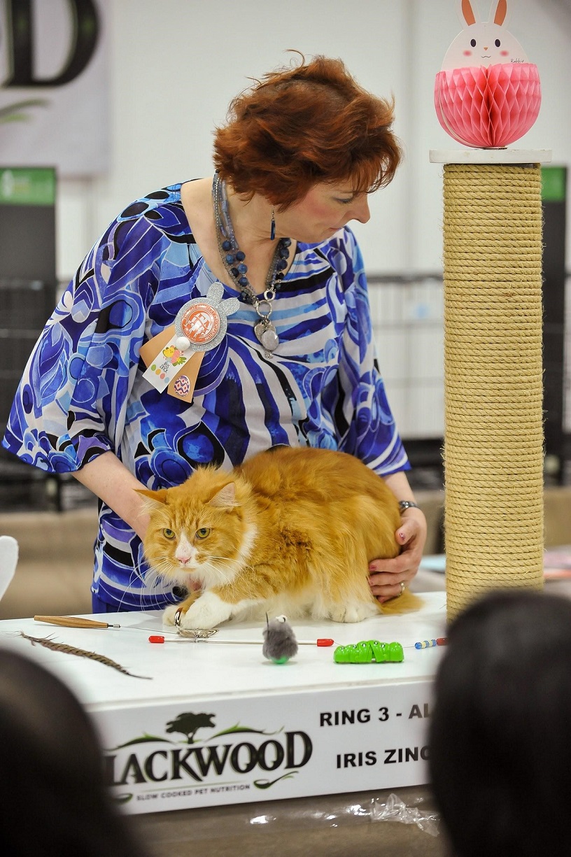 Toys, Treats & Tricks: Pet Expo 2019 Is Back Bigger & Better