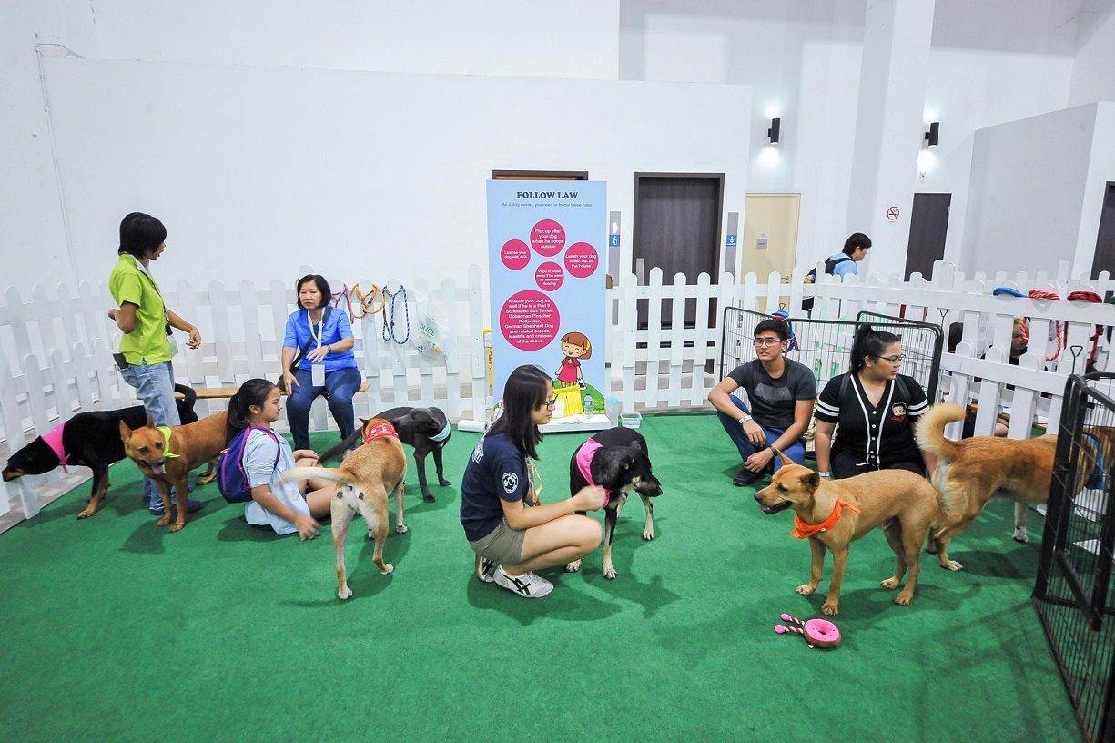 Toys, Treats & Tricks: Pet Expo 2019 Is Back Bigger & Better