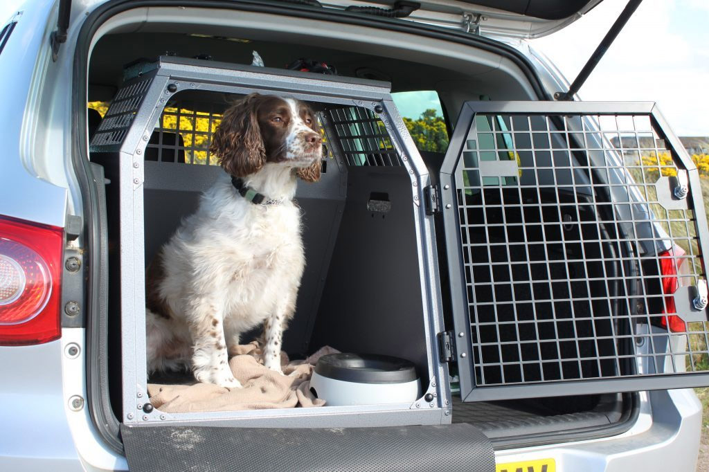 Up for a Road Trip with Your Furkid? Here Are 5 Tips for a Safe Ride