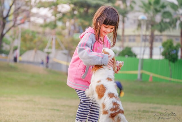 4 Things to Consider Before Welcoming a Family Pet