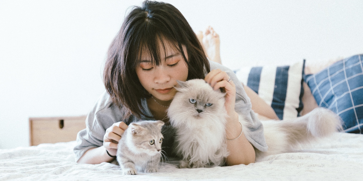 5 Simple Ways For Busy Pet Owners to Shower Their Pets with Love
