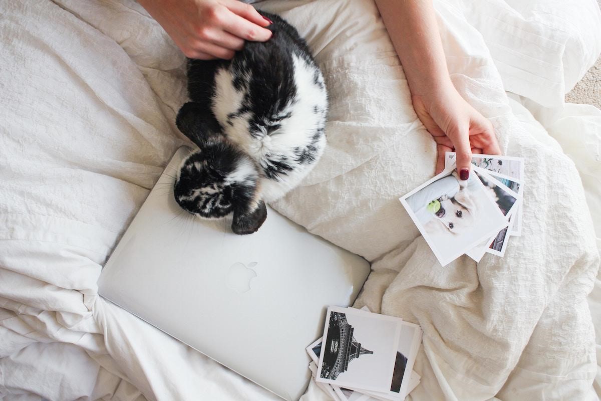 7 Common Signs That Your Rabbit Is Happy & Healthy