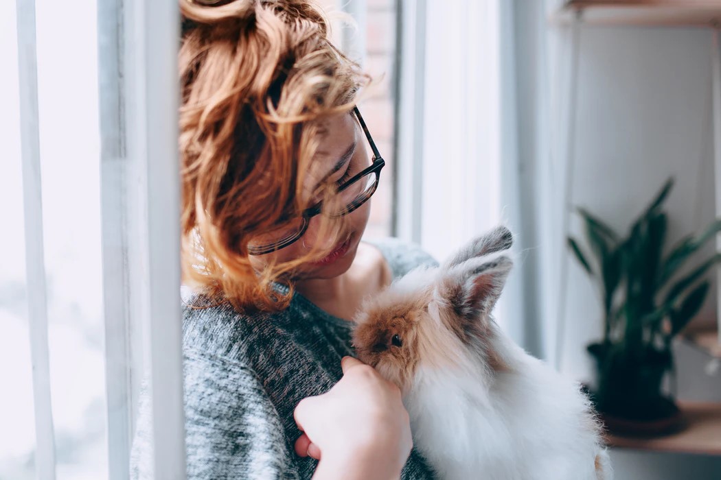 7 Common Signs That Your Rabbit Is Happy & Healthy