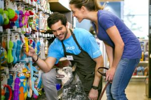 A Guide to Choosing the Perfect Pet Store