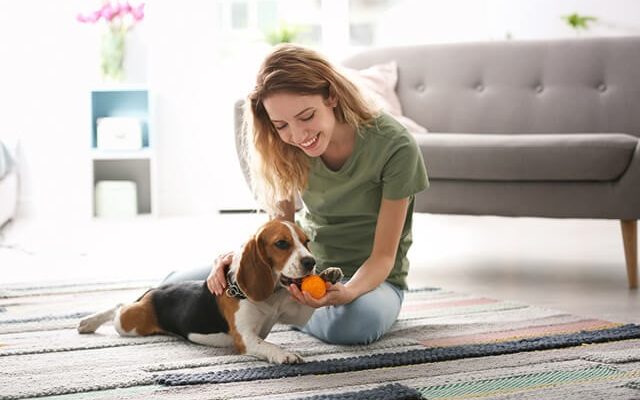 A Guide to Managing Dog Separation Anxiety
