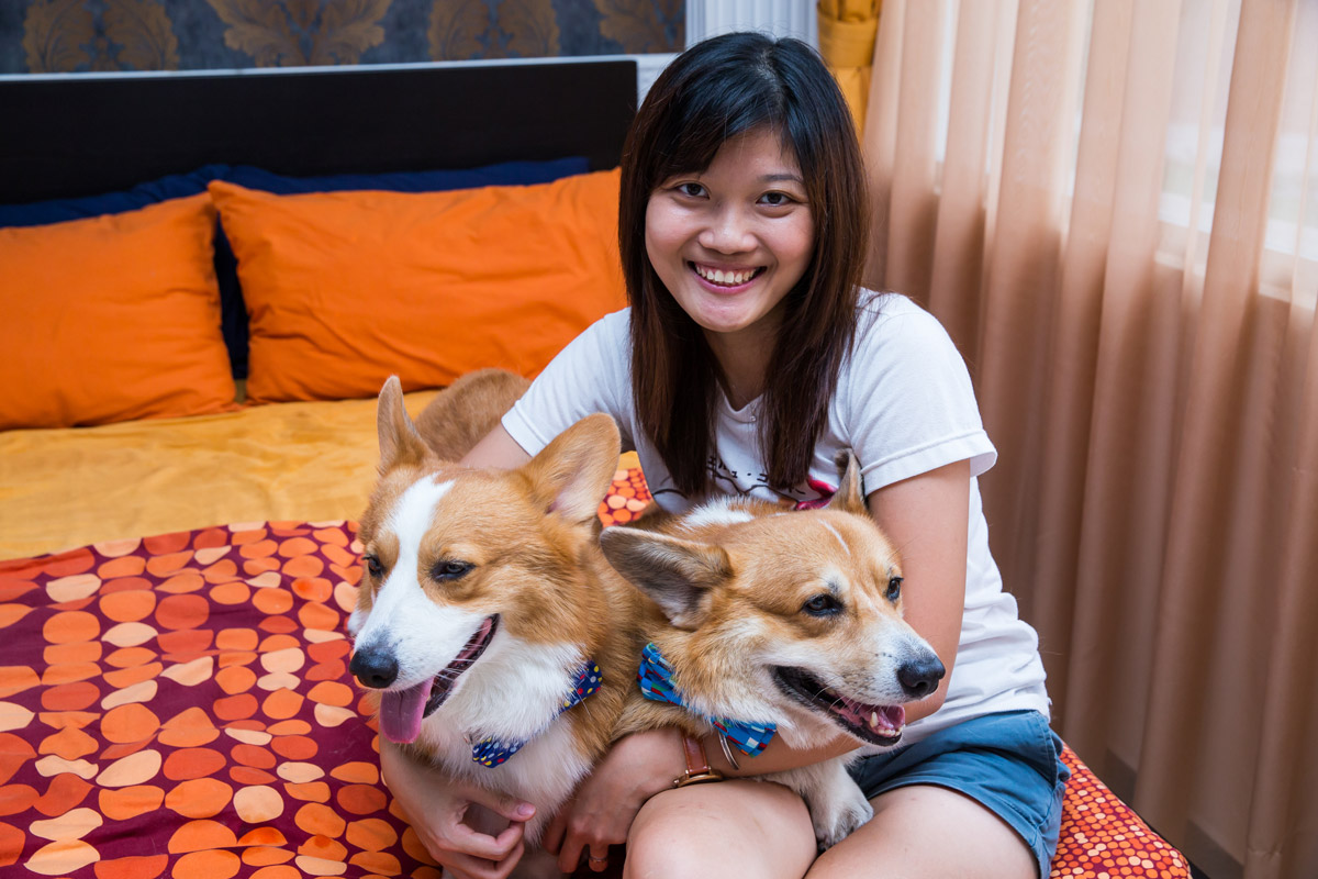  Getting Cosy with Corgis