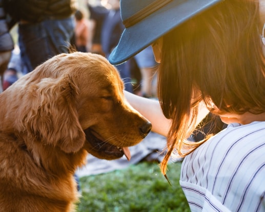 Dog-Speak: What It Means and Its Benefits