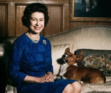 Farewell Whisper: The Last of the Royal Corgis