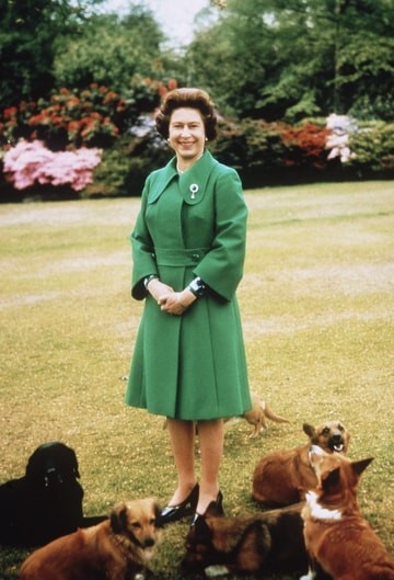 Farewell Whisper: The Last of the Royal Corgis