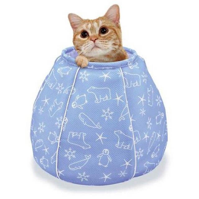 Feline Festivity: A Holiday Gift Guide for Cats