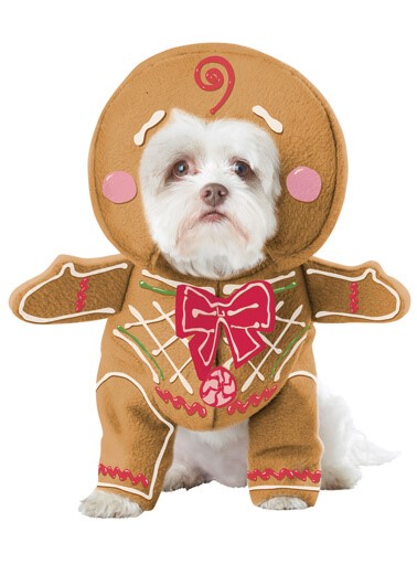 Festive Fashion: 6 Pet Christmas Costumes