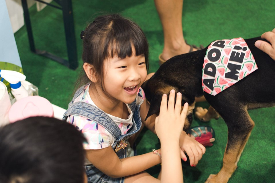 Free Pet Microchipping, Health Checkups & More are Back at NParks’ Pets’ Day Out Event!