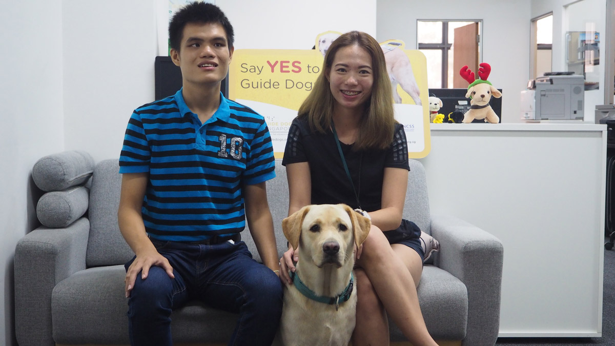 Guide Dogs Singapore Special: Meet Service Dog Clare and Handler Hong Sen