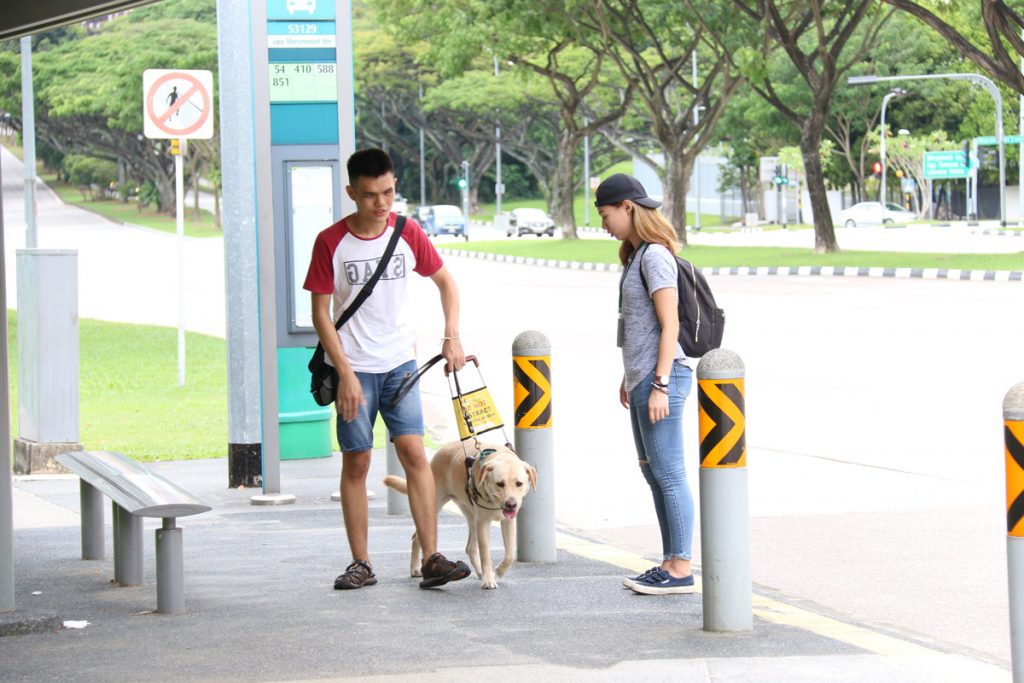 Guide Dogs Singapore Special Meet Service Dog Clare and Handler Hong Sen