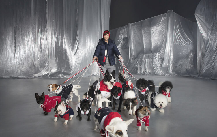 Haute Hound: Put Your Best Paw Forward with Moncler’s Canine Collection