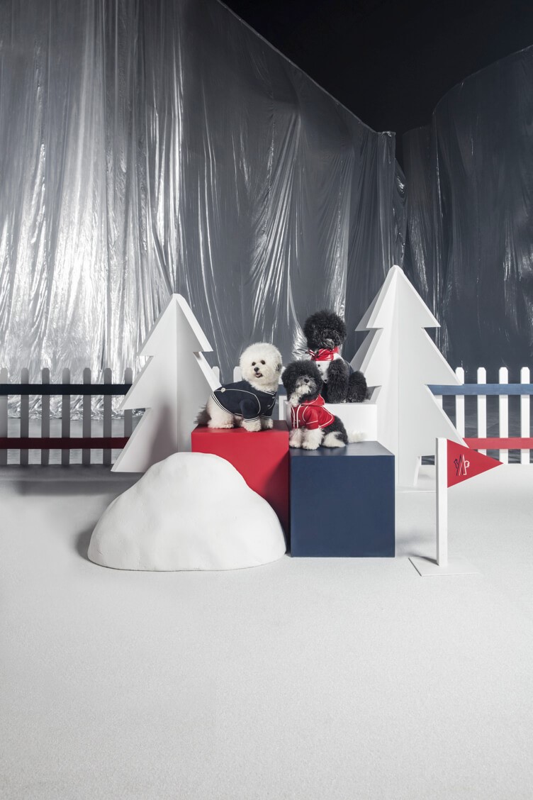 Haute Hound: Put Your Best Paw Forward with Moncler’s Canine Collection