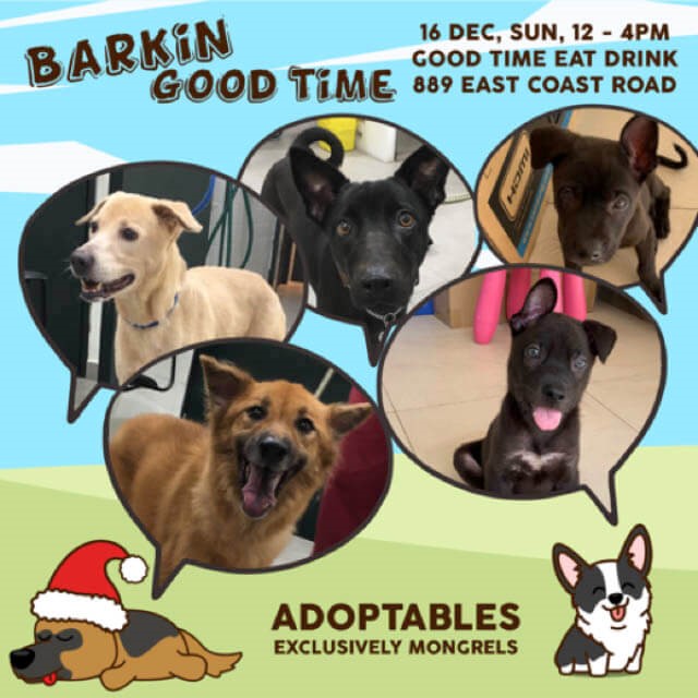 Have Yourself a Barkin Good Time This Christmas