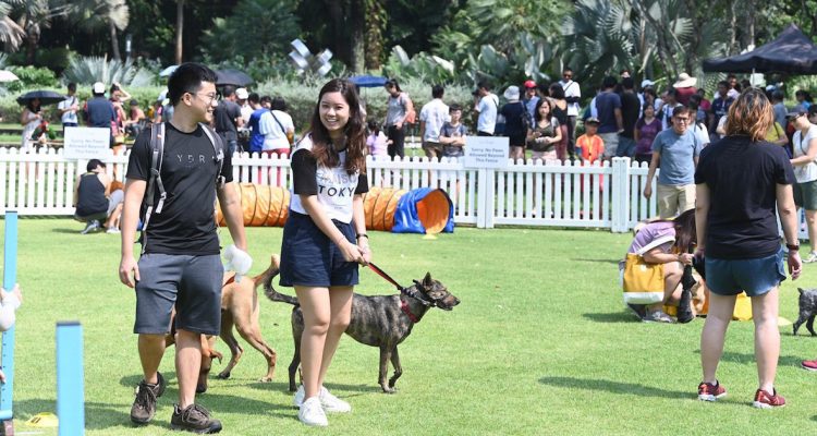 NParks’ Unfurgettable Pets’ Day Out