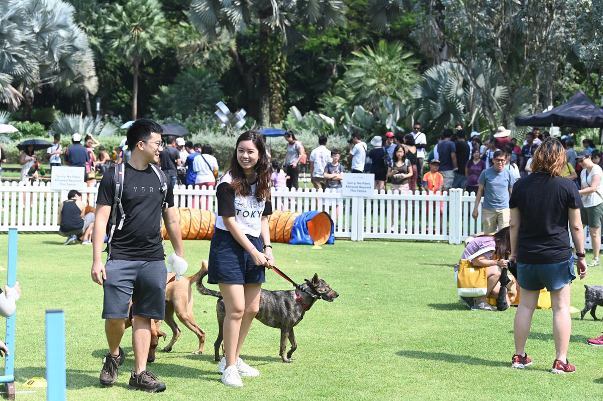 NParks’ Unfurgettable Pets’ Day Out