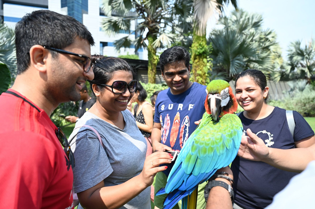 NParks’ Unfurgettable Pets’ Day Out