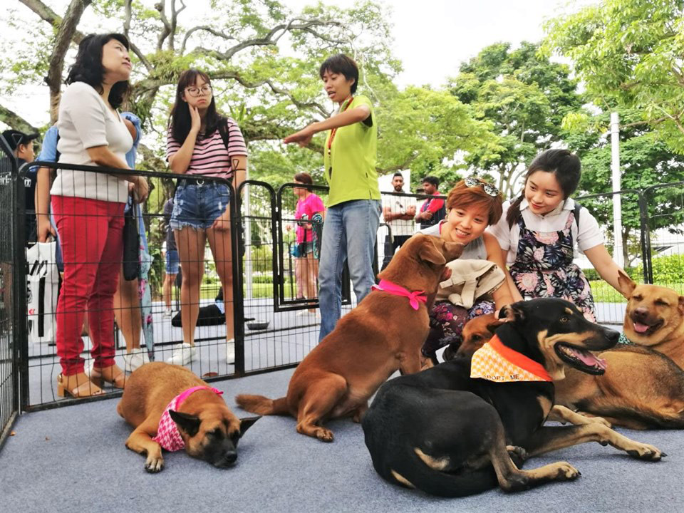 NParks’ Unfurgettable Pets’ Day Out