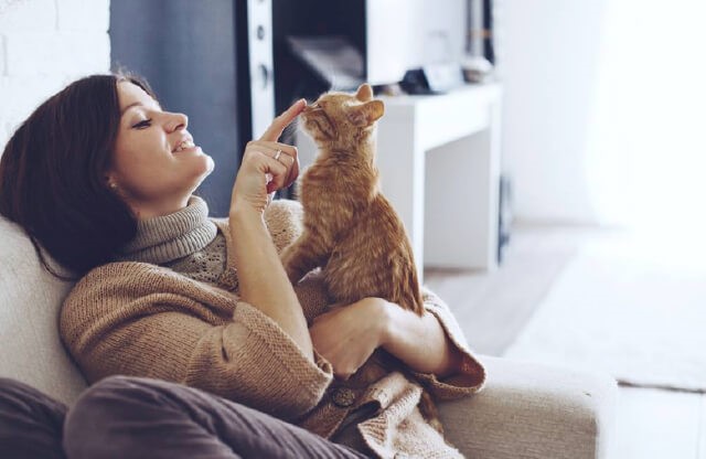 Pet Boarding VS. Pet Sitter: Which Is Better?