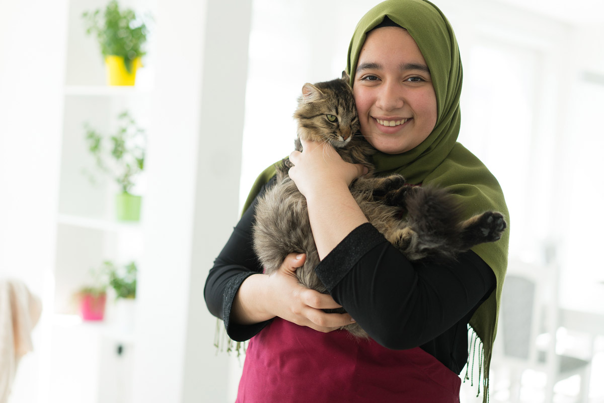 PowerCat - The Premium Halal Dry Cat Food for Busy Cat Owners