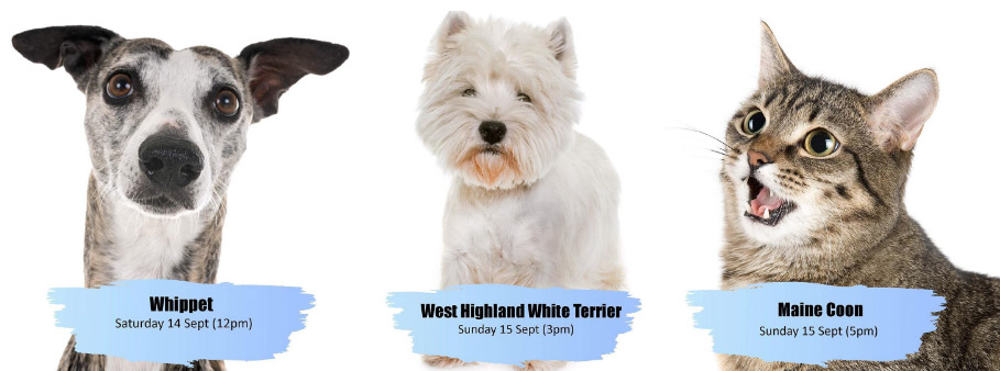 Win Prizes, Meet Furry Friends & Learn About Dog Breeds at Singapore Pet Week 2019!