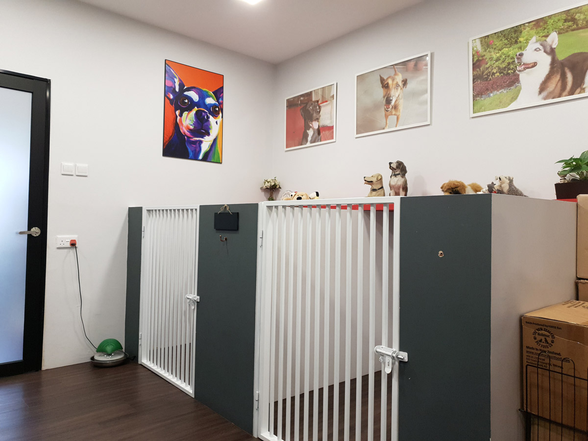 Woofy’s Corner: A Pet Boarding House Like No Other