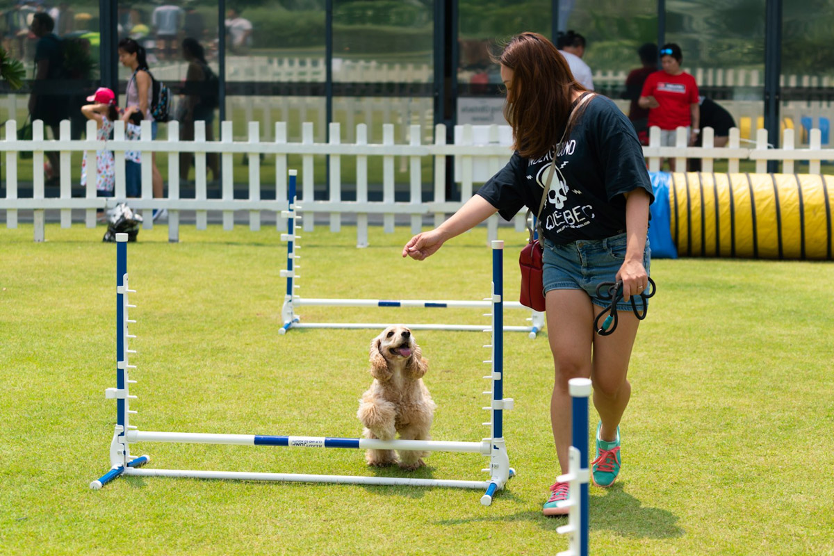 5 Reasons Why You Should Join the Fun at NParks’ Parks Festival & Pets’ Day Out Event