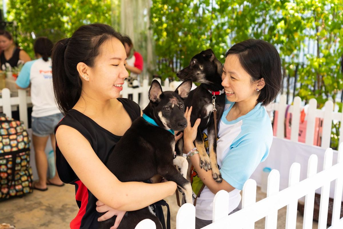5 Reasons Why You Should Join the Fun at NParks’ Parks Festival & Pets’ Day Out Event