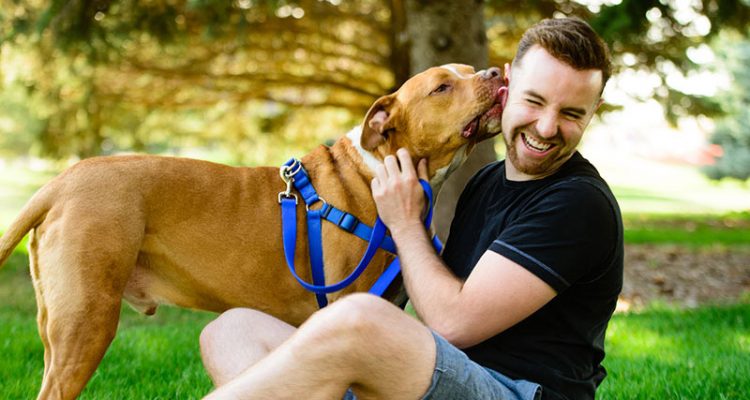 6 Amazing Ways Dogs Make Life Better