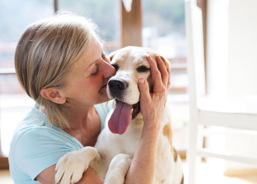  6 Amazing Ways Dogs Make Life Better