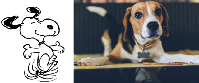 Expectation VS. Reality: Cartoon Dogs and their Real Life Counterparts