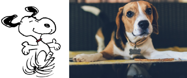 Expectation Vs Reality Cartoon Dogs And Their Real Life Counterparts